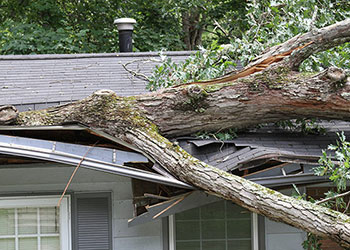 Storm Damage Repair Tiles