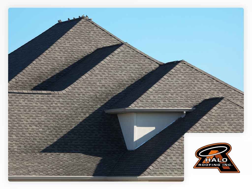 Roof Shingles